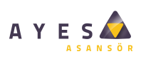 Ayes Logo